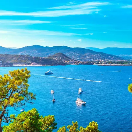 Daire Rooftop Le Plaza - 10mn From Cannes - Happy *